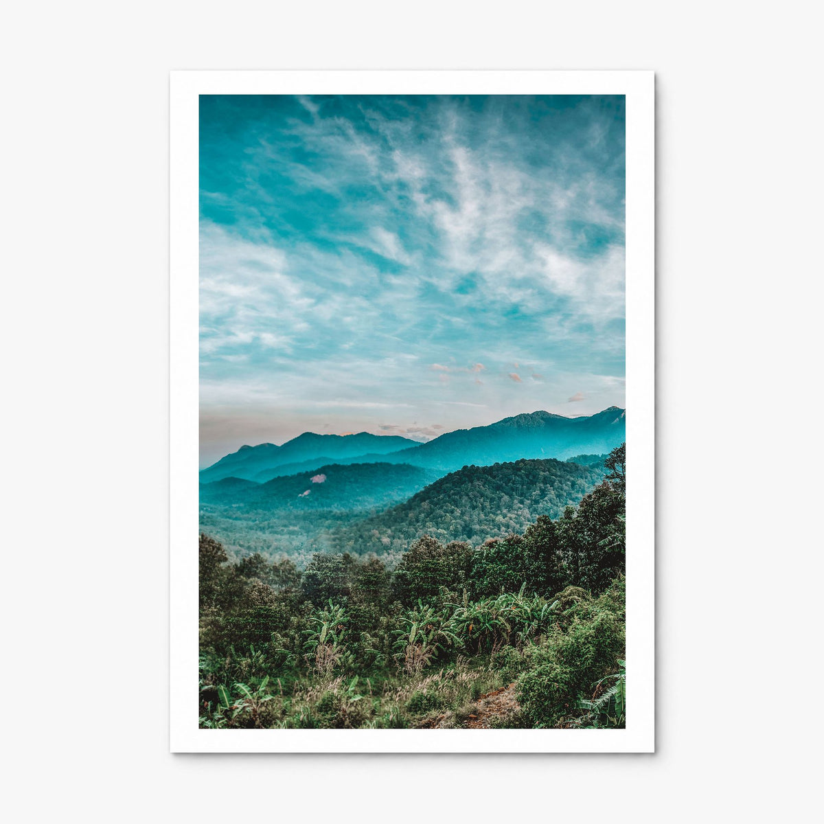 Kerala Photo Poster, print only (unframed), white border