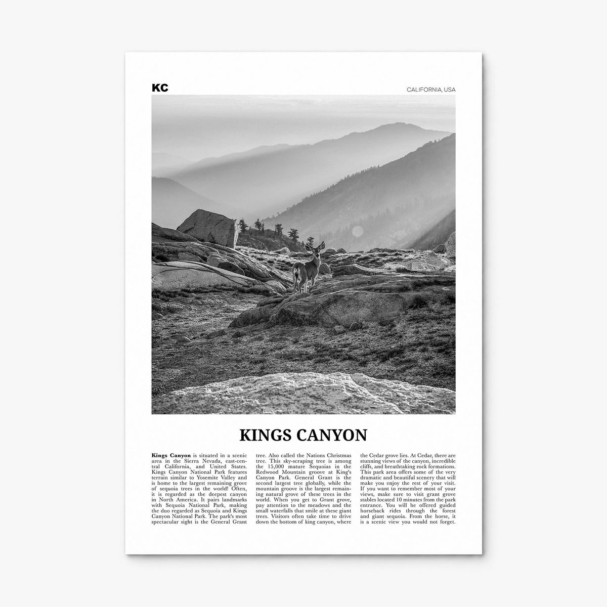 Kings Canyon National Park Newspaper Poster, print only (unframed)