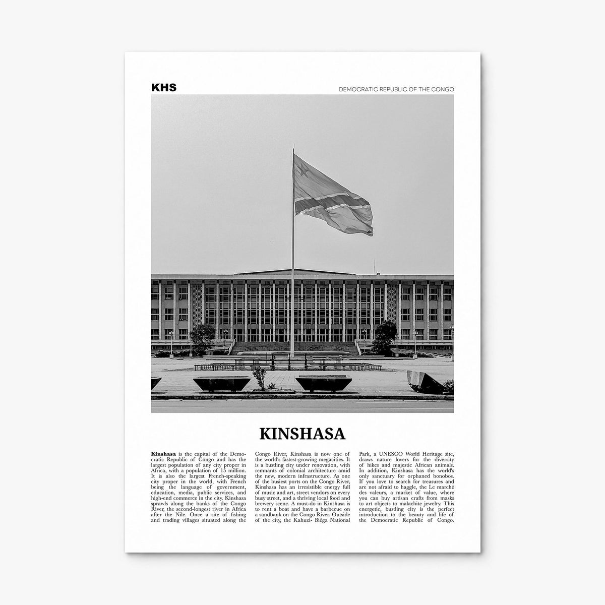 Kinshasa Newspaper Poster, print only (unframed)