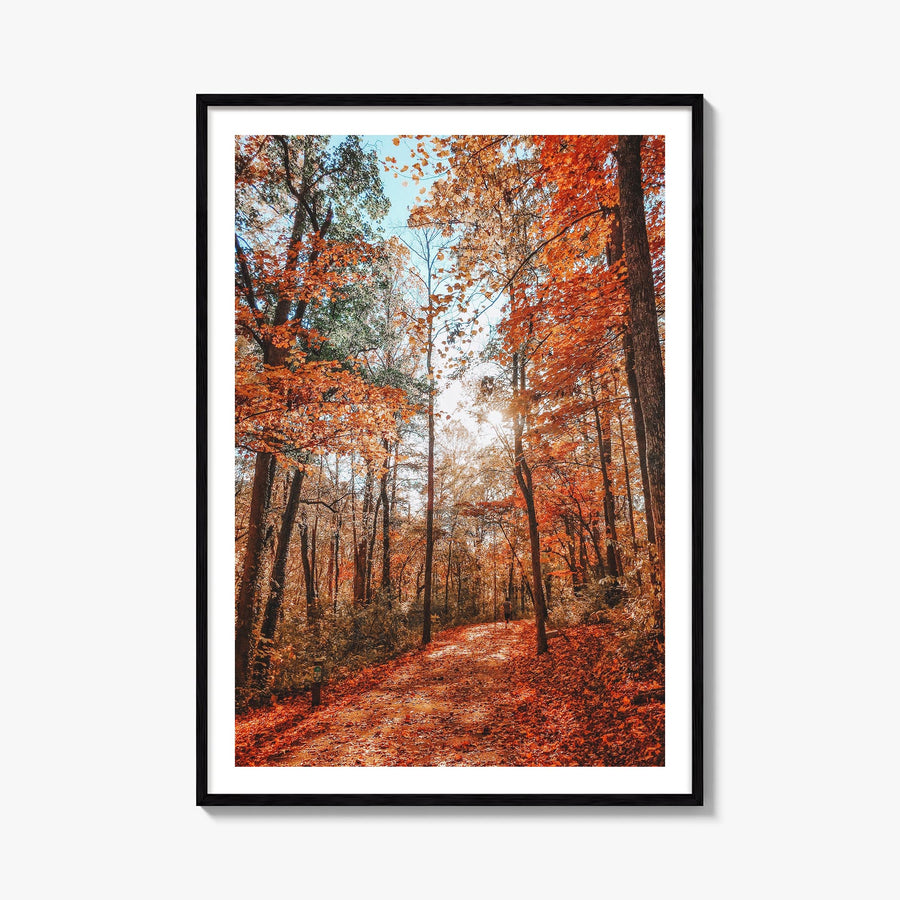 Knoxville no. 3 colorful photo poster of Tennessee, USA – vertical wall art, unframed print shown in interior mockup