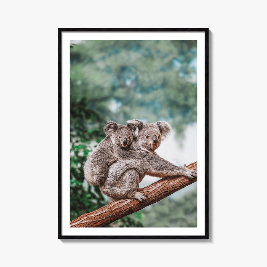 Koala colorful photo poster – vertical wall art, unframed print shown in interior mockup