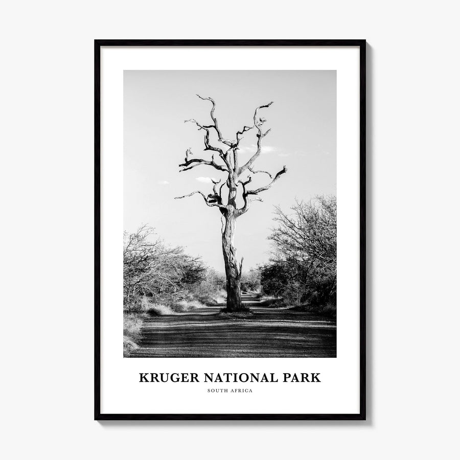 Kruger National Park Classic Poster, framed poster mockup