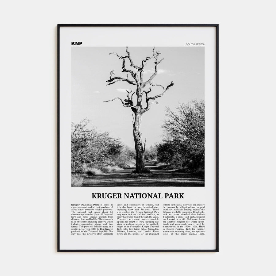 Kruger National Park Poster None / 8x12 in Nbourhood Travel B&W Poster