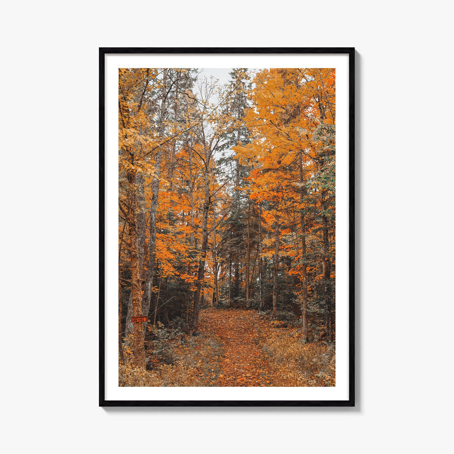 Lake Arrowhead no. 2 colorful photo poster of California, USA – vertical wall art, unframed print shown in interior mockup