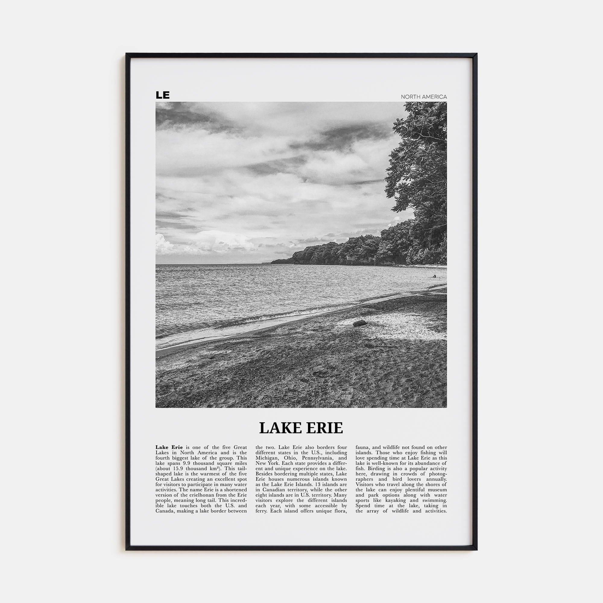 Lake Erie Poster None / 8x12 in Nbourhood Travel B&W Poster