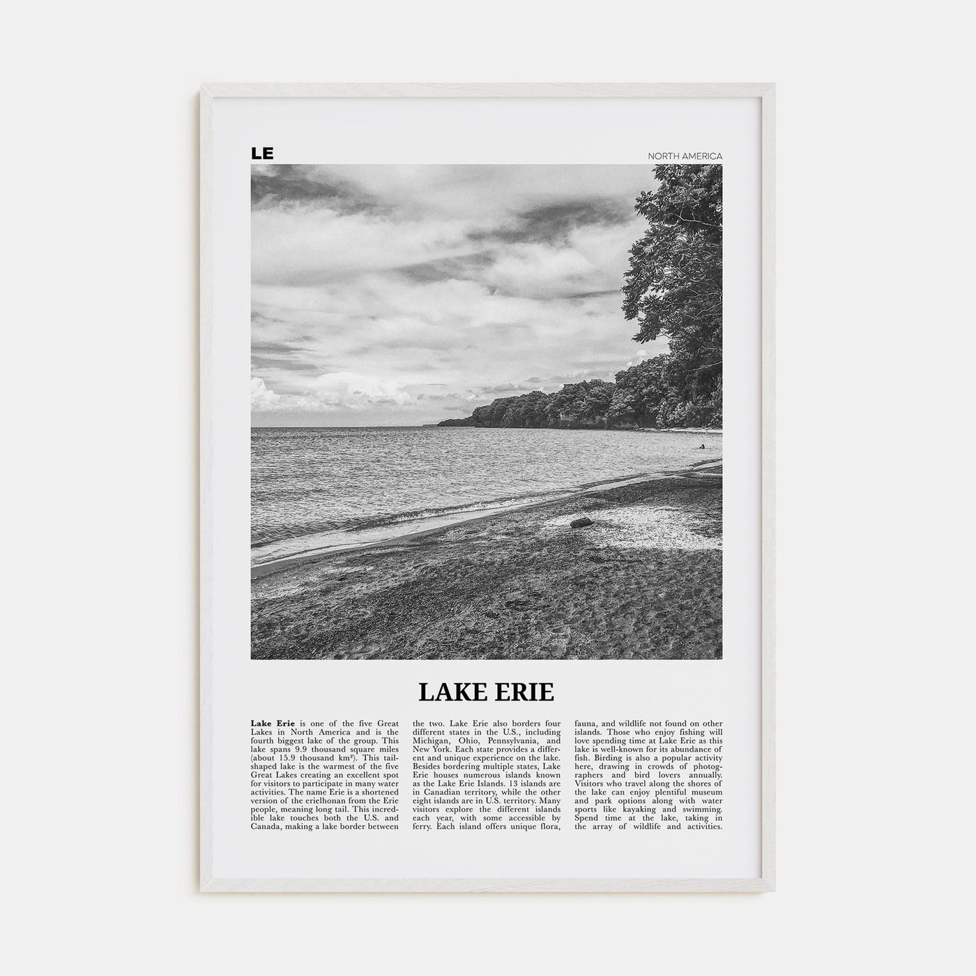 Lake Erie Poster White Wood / 8x12 in Nbourhood Travel B&W Poster