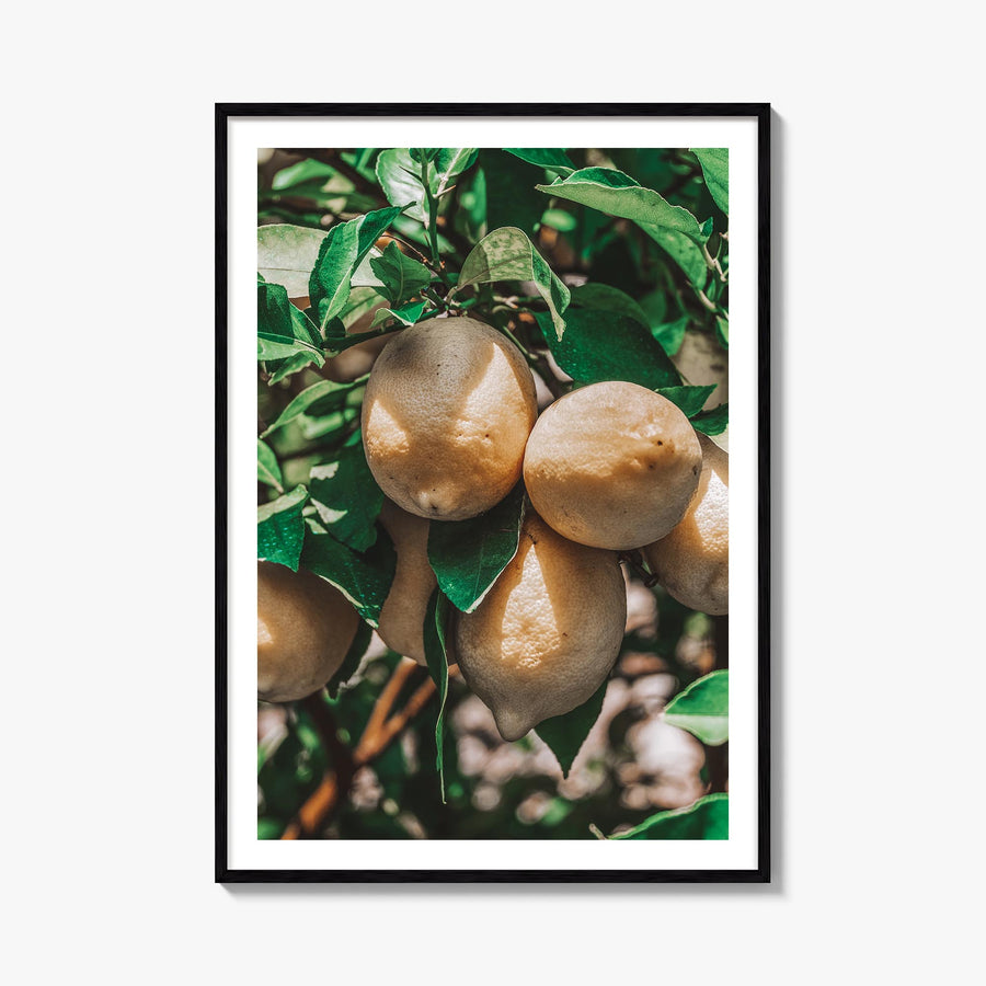 Lemon Tree colorful photo poster – vertical wall art, unframed print shown in interior mockup