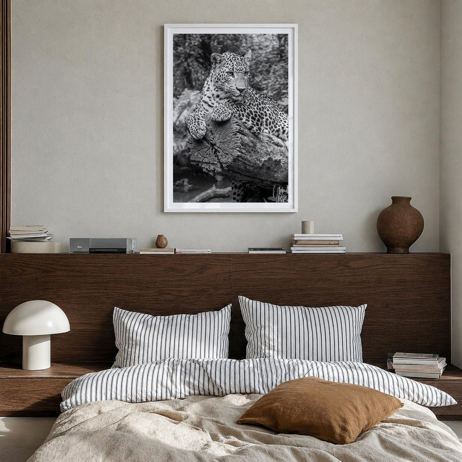 Leopard no. 2 black & white photo poster – vertical wall art in white wood frame with white border, hanging on wall
