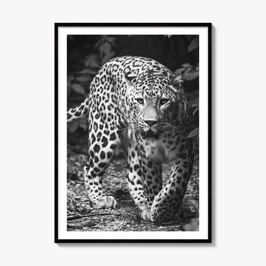 Leopard Photo No 1 Poster, framed poster mockup, white border