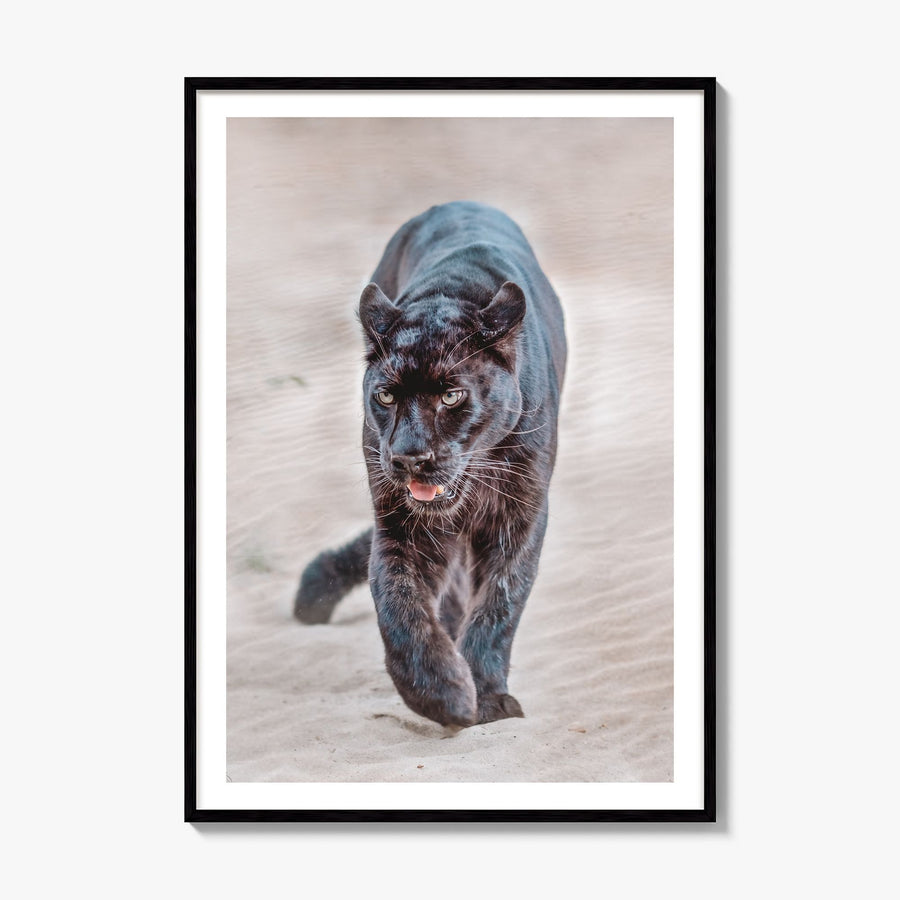 Leopard Photo No 1 Poster, framed poster mockup, white border