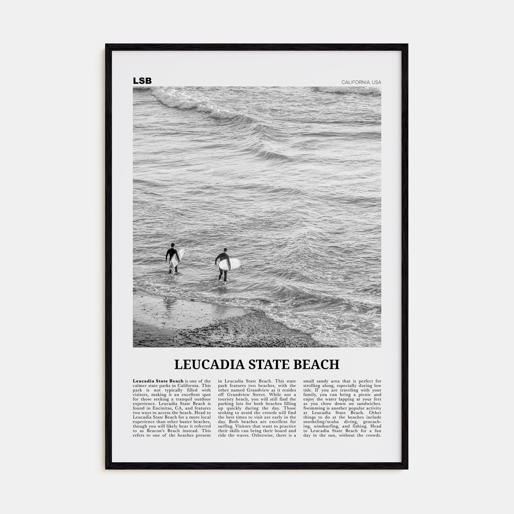 Leucadia State Beach Poster Black Wood / 8x12 in Nbourhood Travel B&W Poster