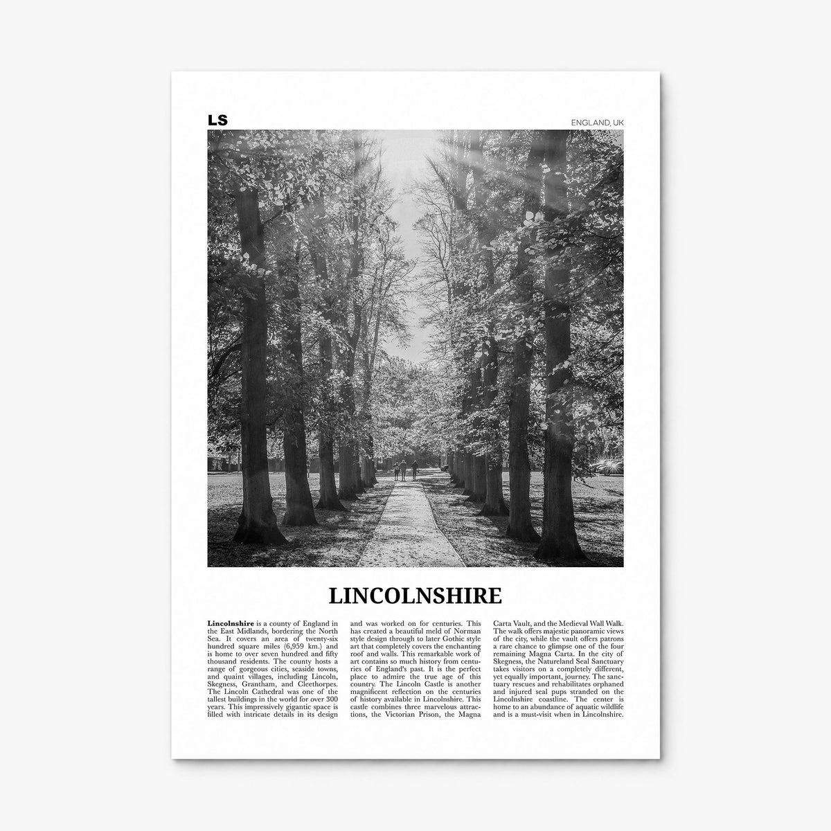 Lincolnshire Newspaper Poster, print only (unframed)