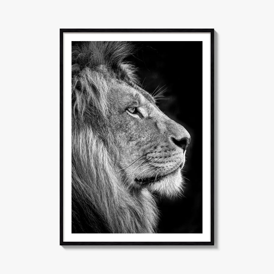 Lion no. 1 black & white photo poster – vertical wall art, unframed print shown in interior mockup