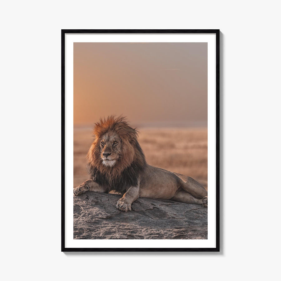 Lion no. 2 colorful photo poster – vertical wall art, unframed print shown in interior mockup