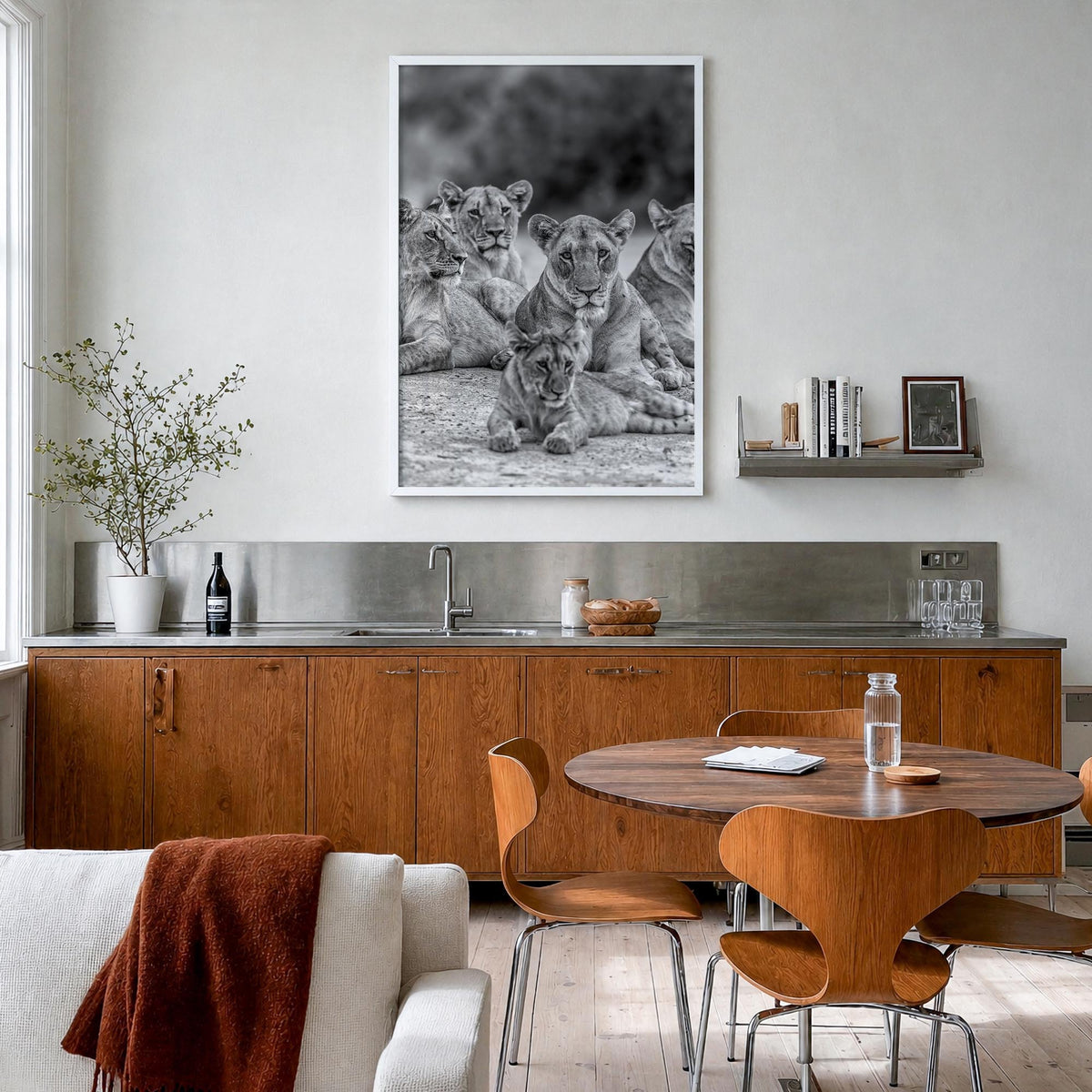 Lion no. 3 black & white photo poster – vertical wall art in white wood frame, hanging on wall