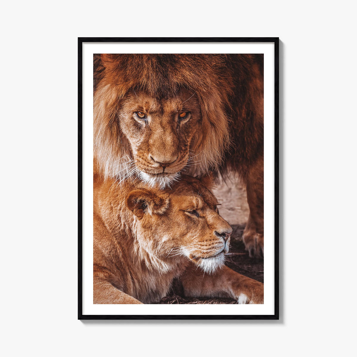Lion no. 3 colorful photo poster – vertical wall art, unframed print shown in interior mockup