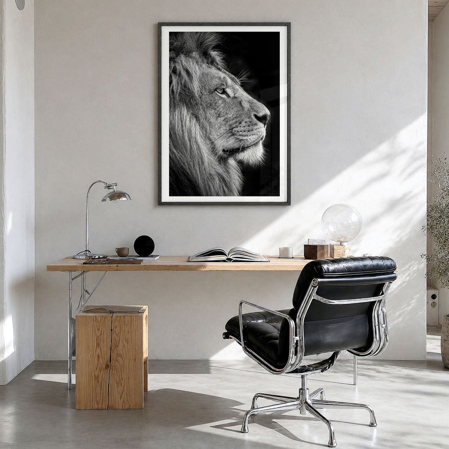 Lion Photo No 1 Poster in a black wood frame, hanging in a bright home office, white border