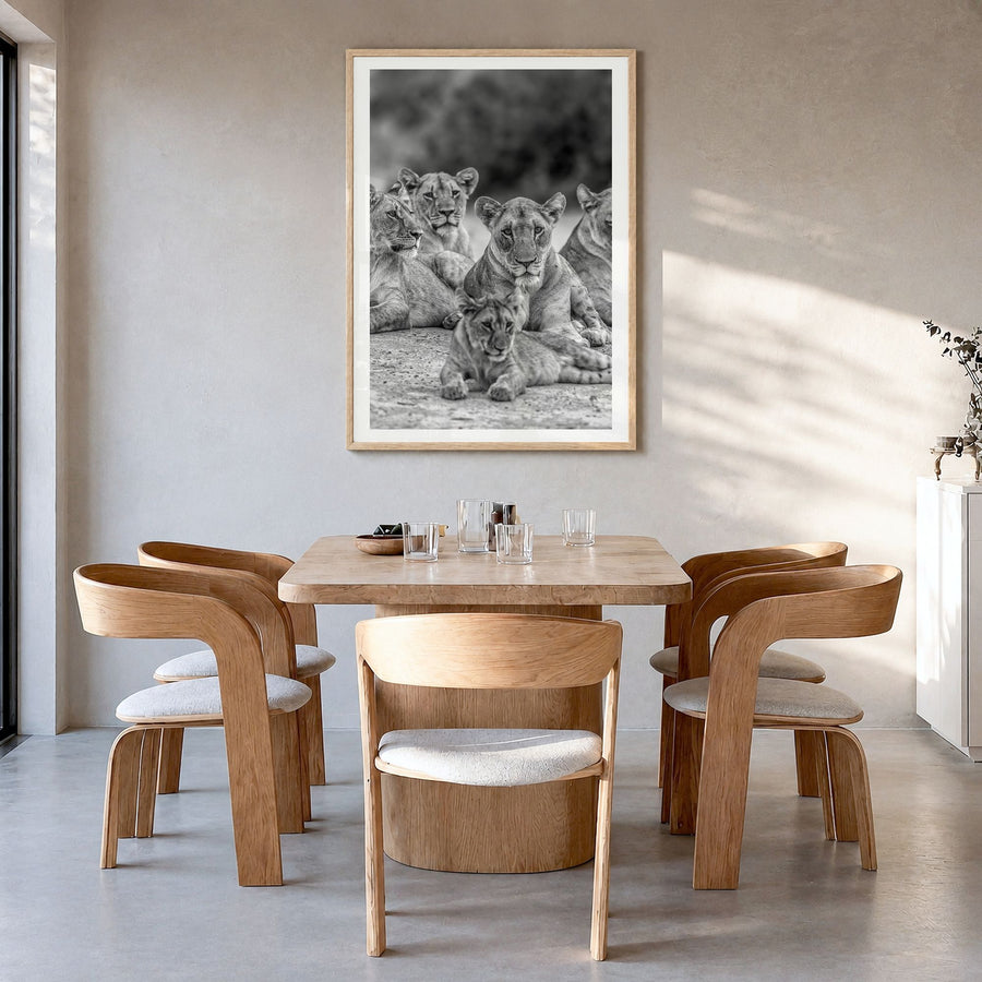 Lion Photo No 3 Poster in a natural wood frame, hanging in a dining room, white border