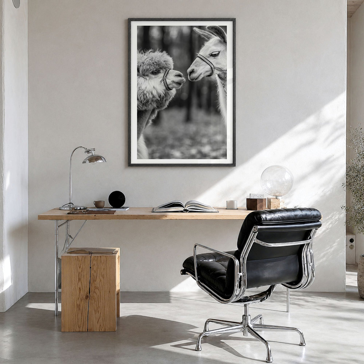 Llama Photo Poster in a black wood frame, hanging in a bright home office, white border