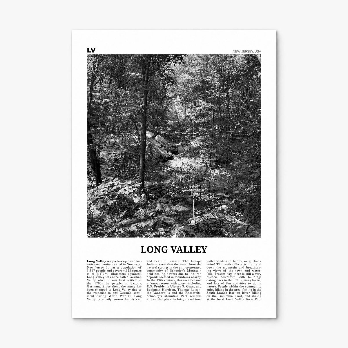 Long Valley Newspaper Poster, print only (unframed)