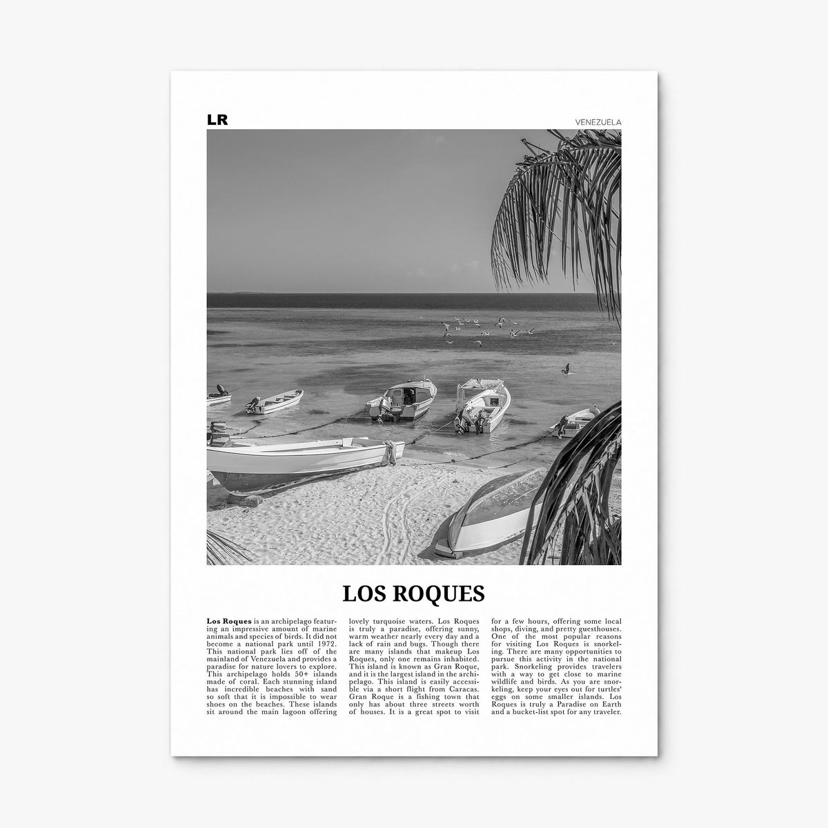 Los Roques Newspaper Poster, print only (unframed)