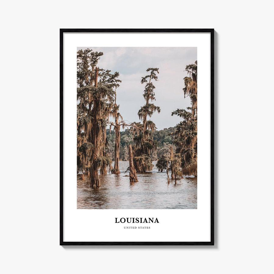 Louisiana colorful classic poster of United States – vertical wall art, unframed print shown in interior mockup
