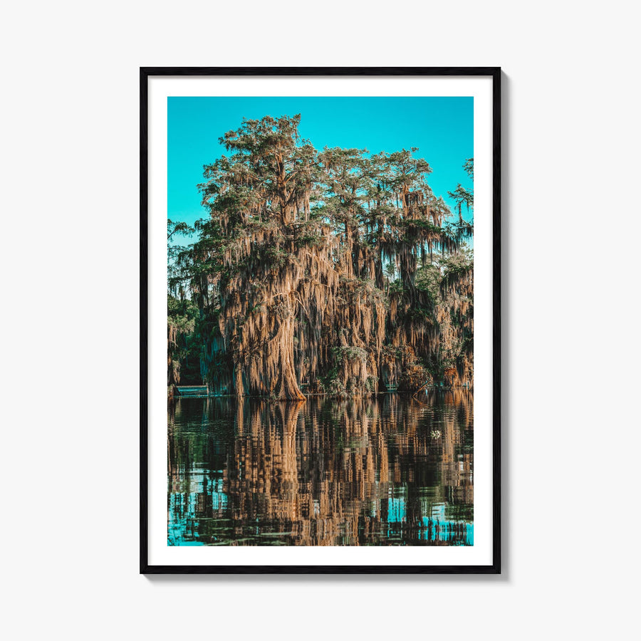 Louisiana no. 1 colorful photo poster of United States – vertical wall art, unframed print shown in interior mockup