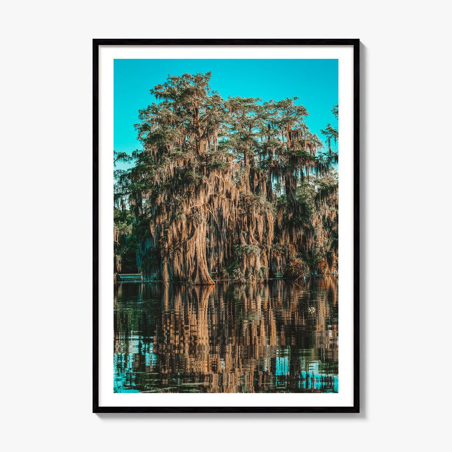 Louisiana Photo No 1 Poster, framed poster mockup, white border
