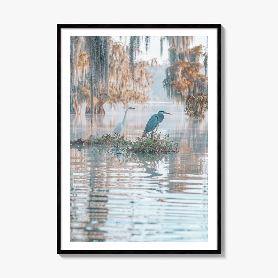Louisiana Photo No 2 Poster, framed poster mockup, white border