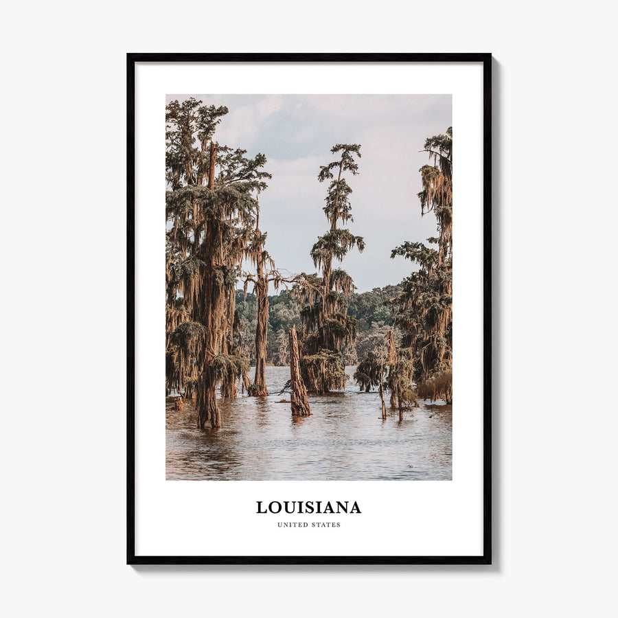 Louisiana Classic Poster, framed poster mockup