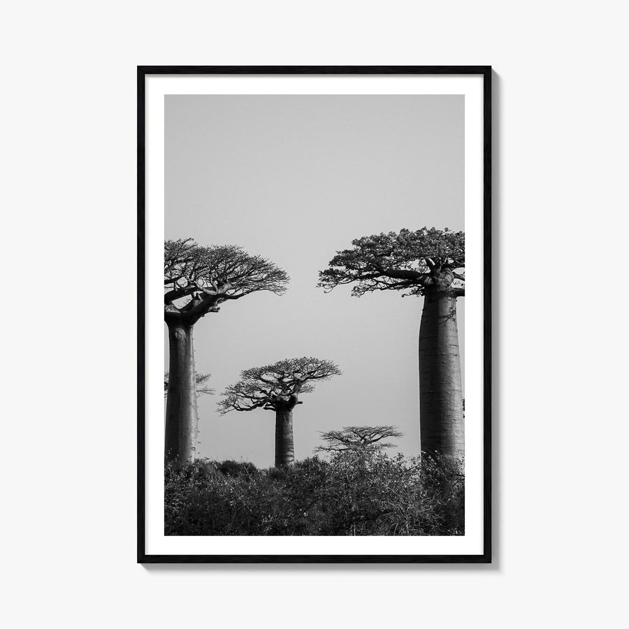 Madagascar black & white photo poster of Africa – vertical wall art, unframed print shown in interior mockup
