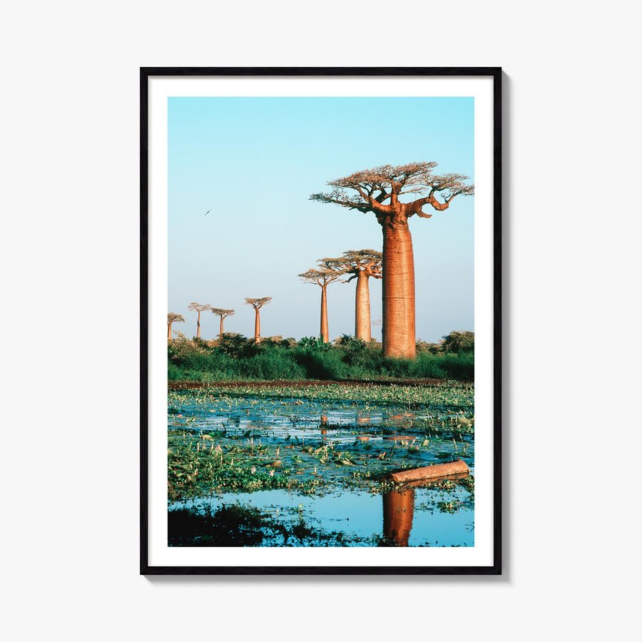 Madagascar colorful photo poster of Africa – vertical wall art, unframed print shown in interior mockup