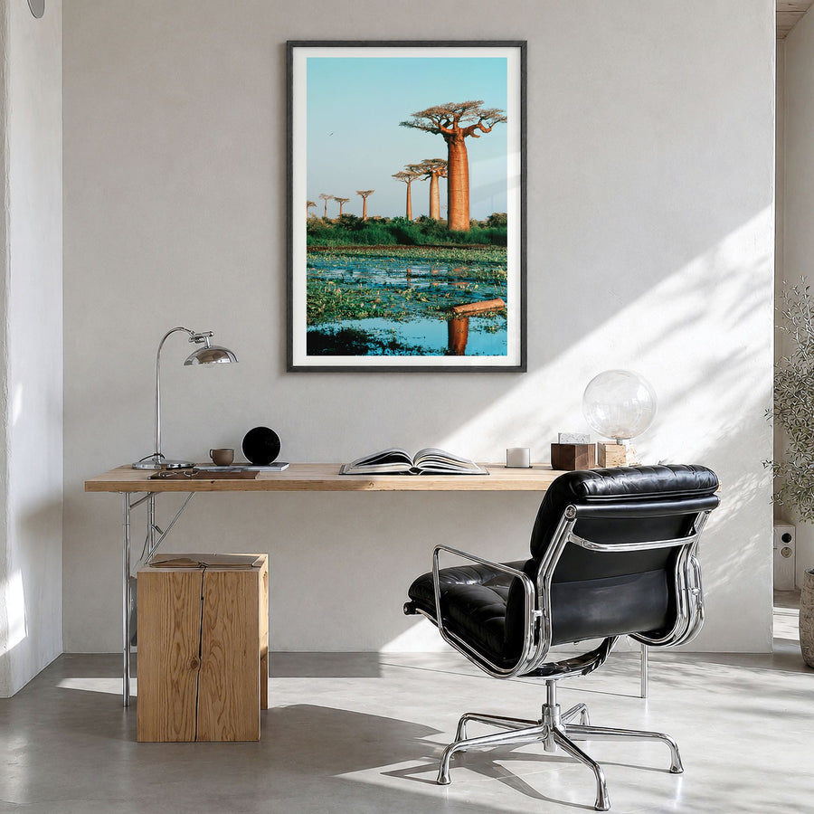 Madagascar Photo Poster in a black wood frame, hanging in a bright home office, white border