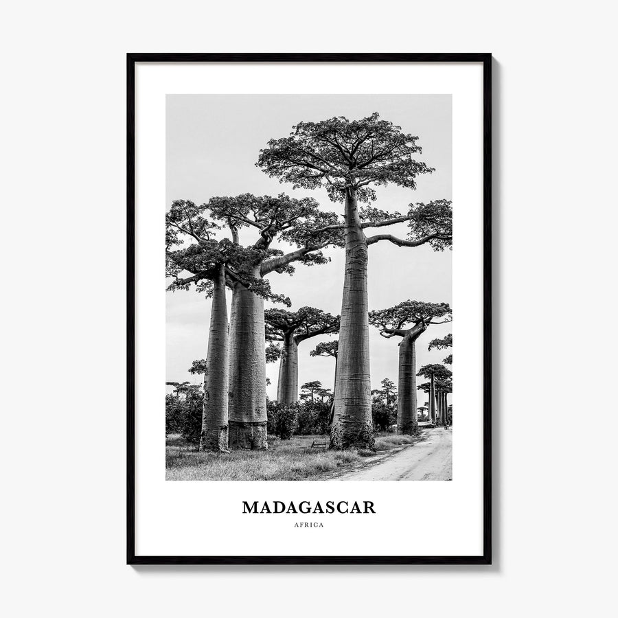 Madagascar Classic Poster, framed poster mockup