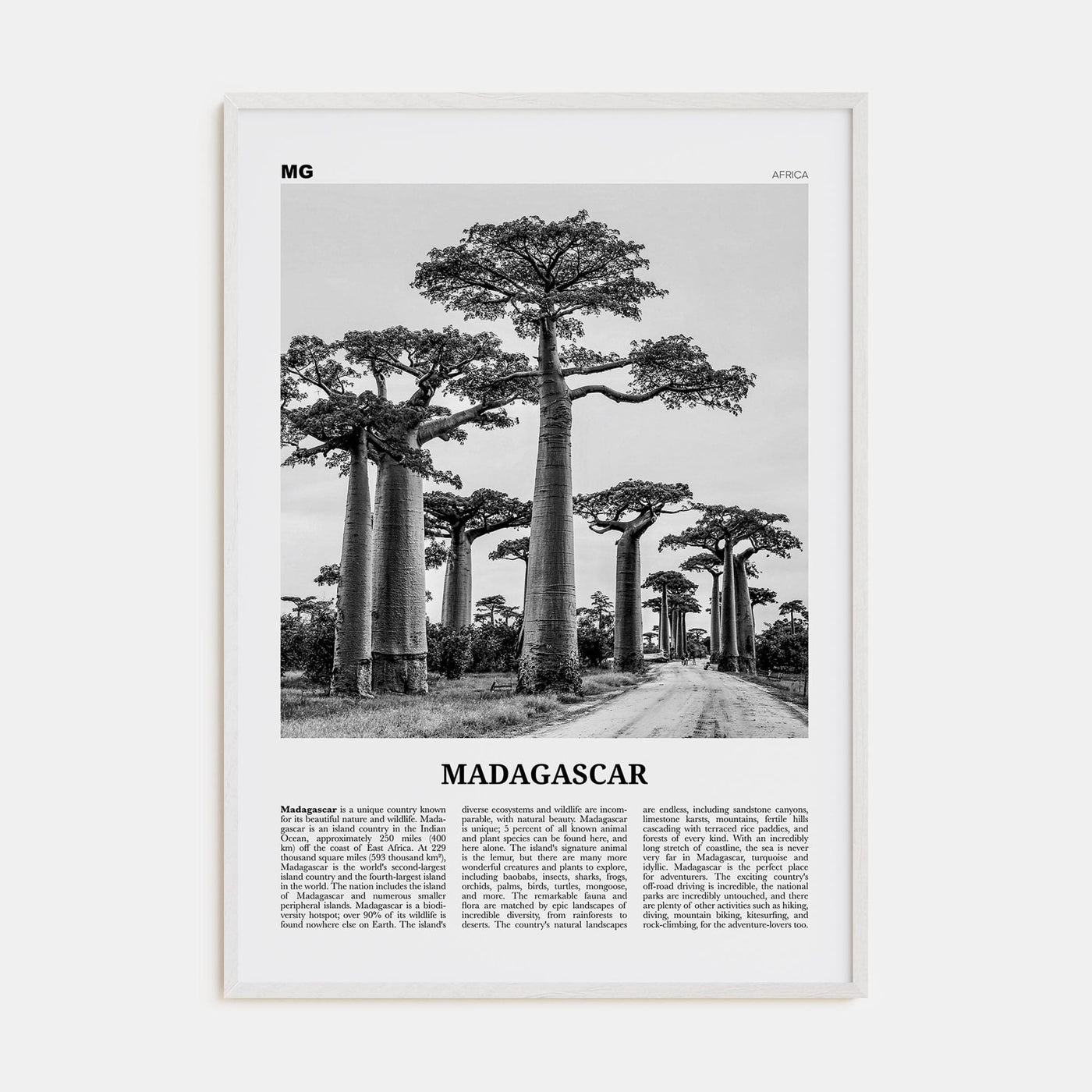 Madagascar Poster White Wood / 8x12 in Nbourhood Travel B&W Poster