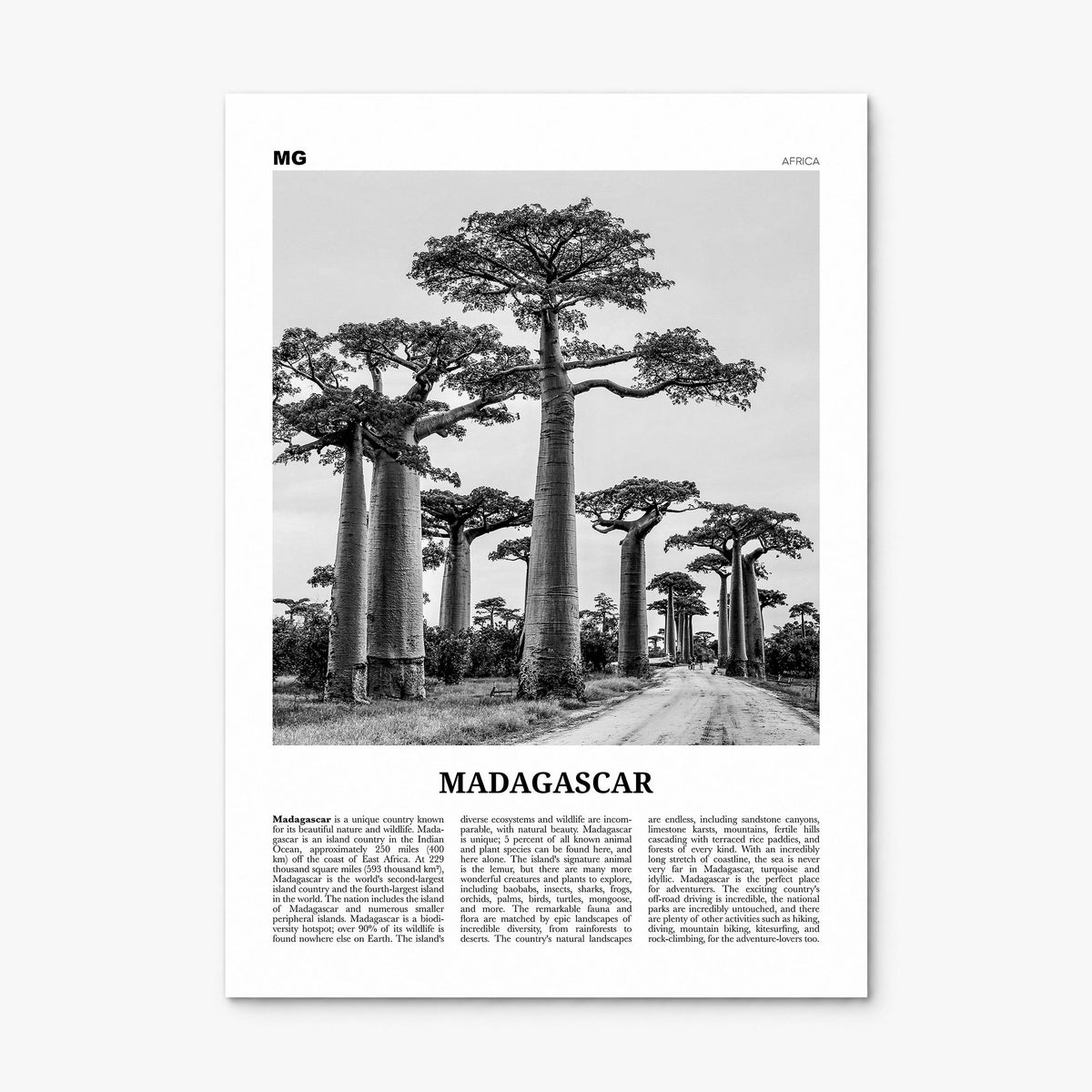 Madagascar Newspaper Poster, print only (unframed)