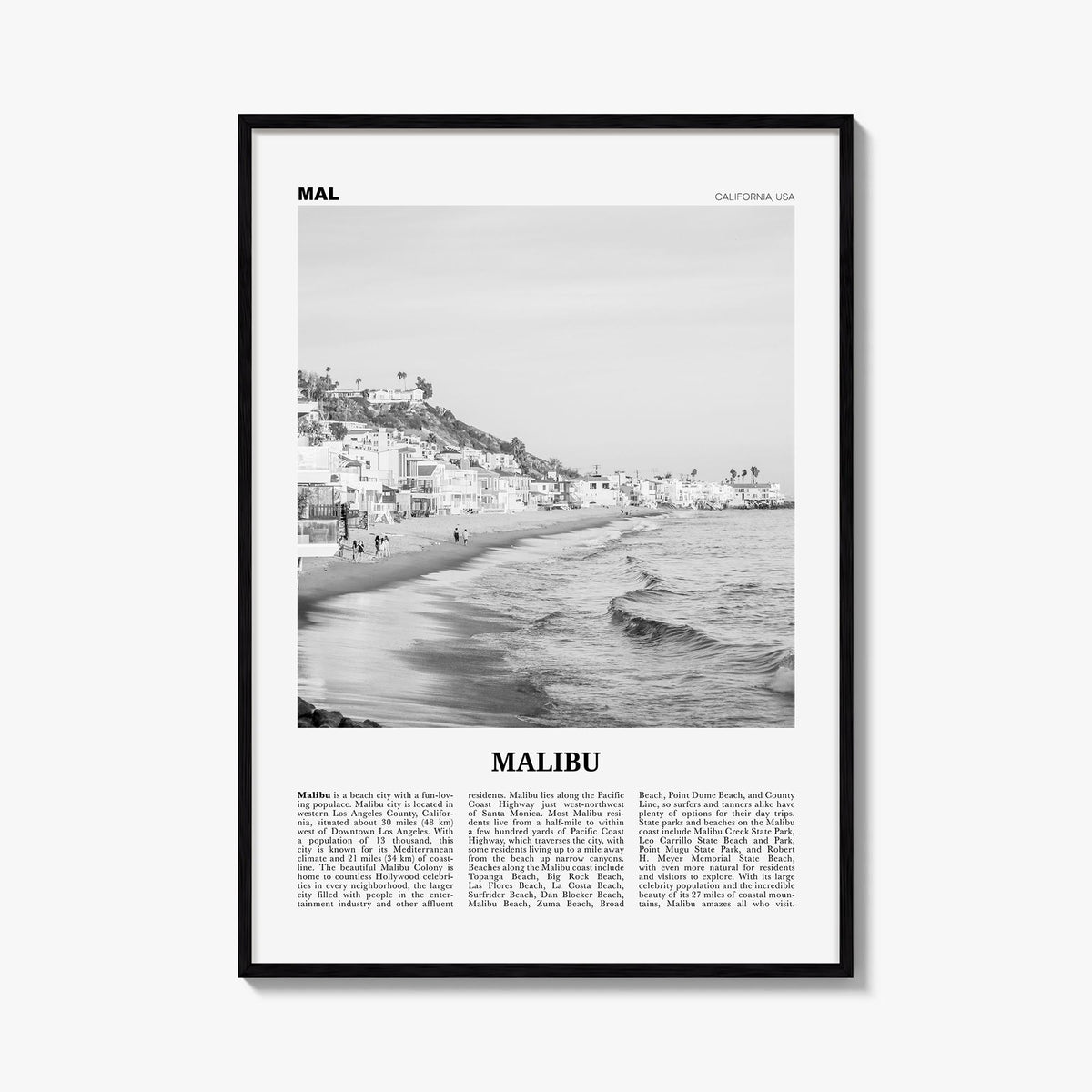 Malibu Newspaper No 1 Poster