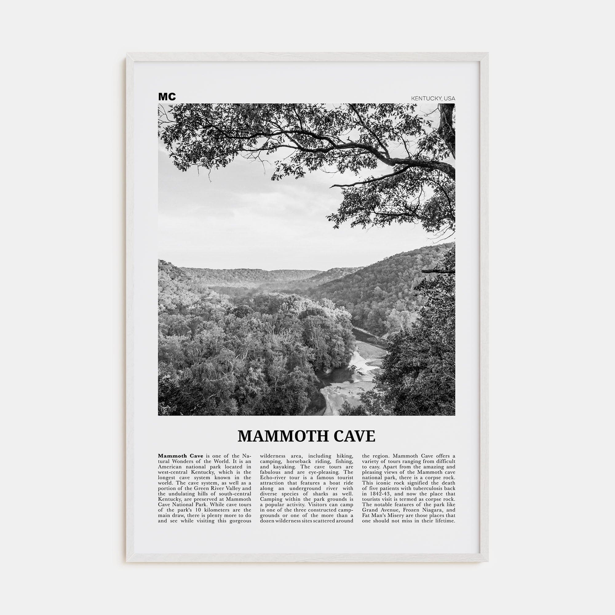 Mammoth Cave Poster White Wood / 8x12 in Nbourhood Travel B&W Poster