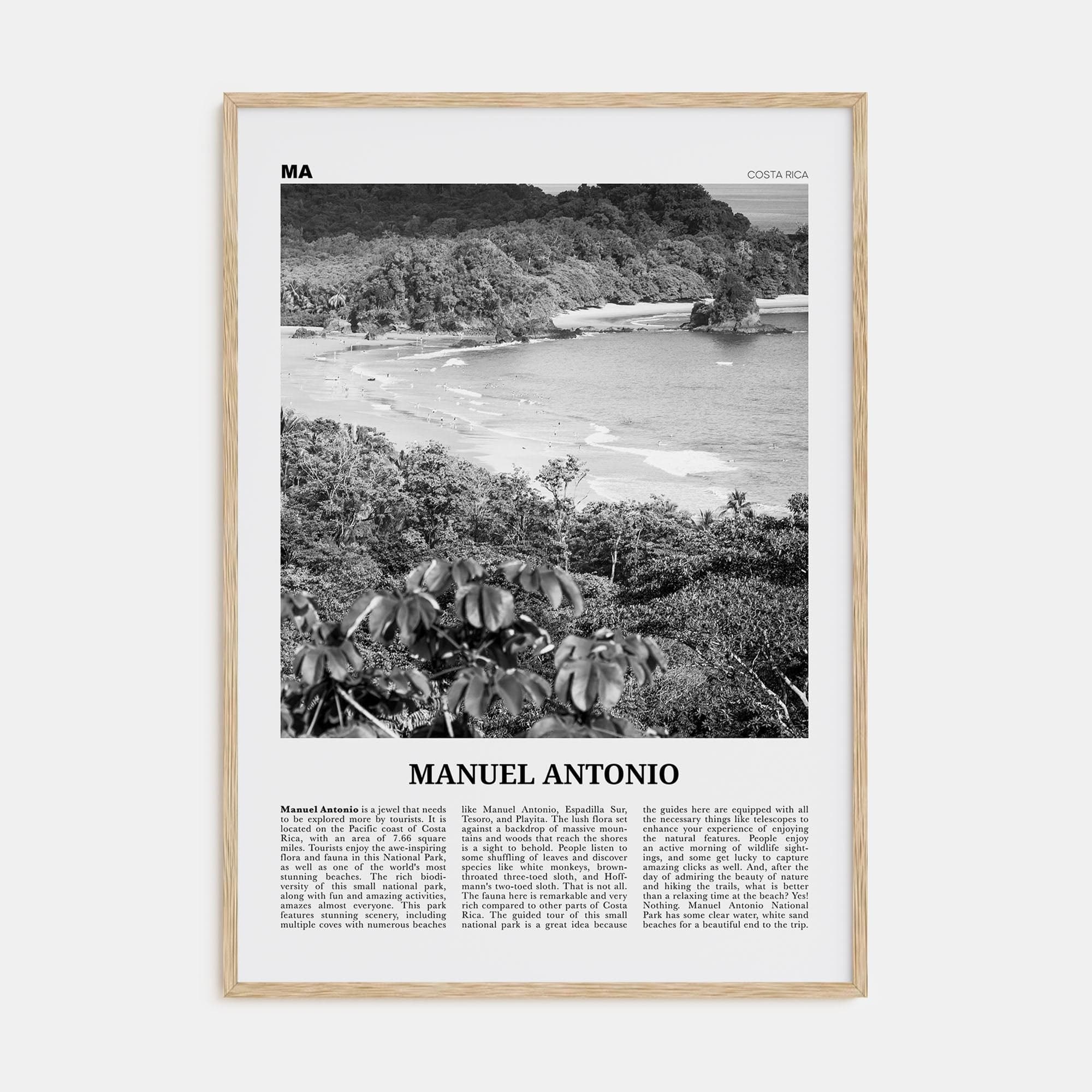 Manuel Antonio National Park Poster Natural Wood / 8x12 in Nbourhood Travel B&W Poster