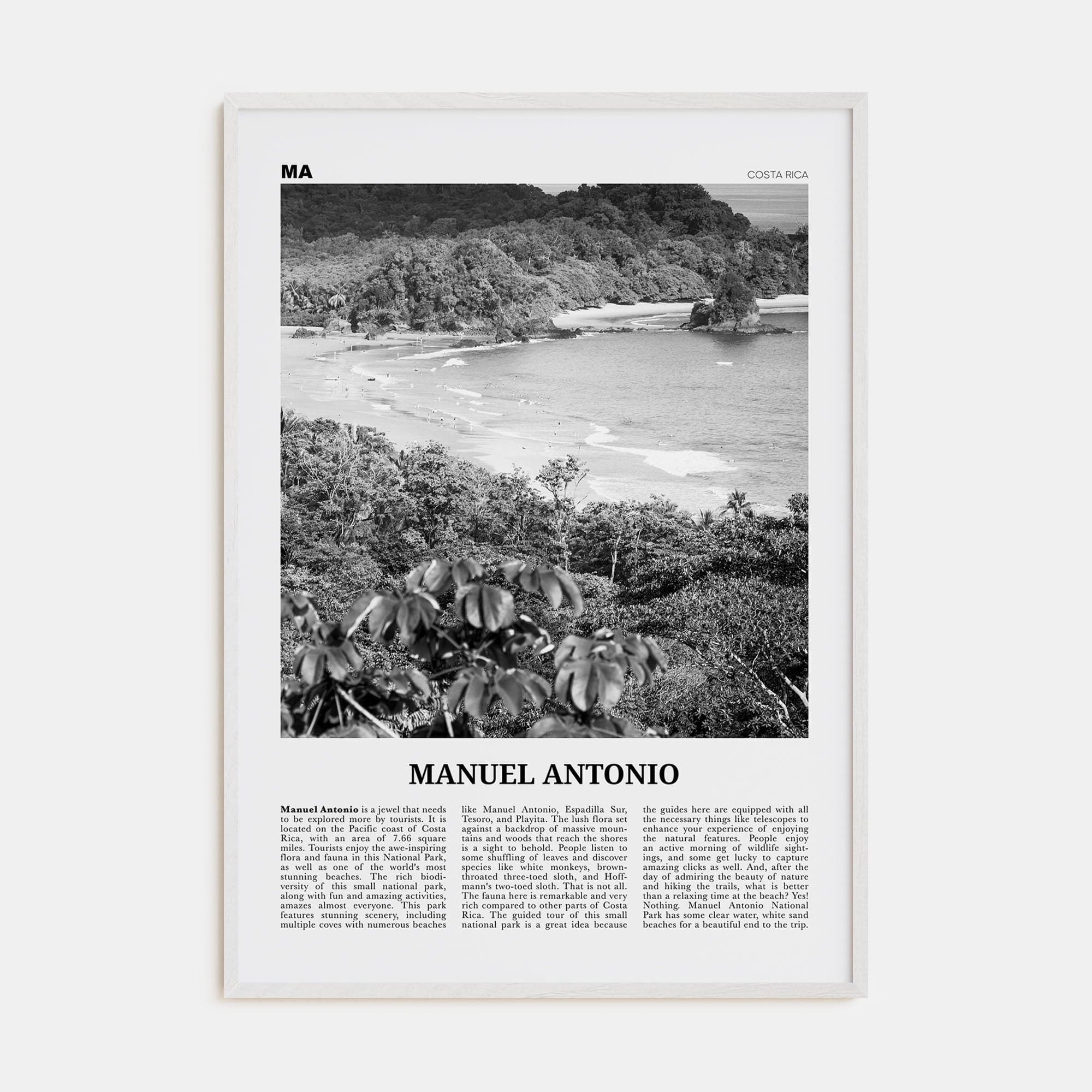 Manuel Antonio National Park Poster White Wood / 8x12 in Nbourhood Travel B&W Poster