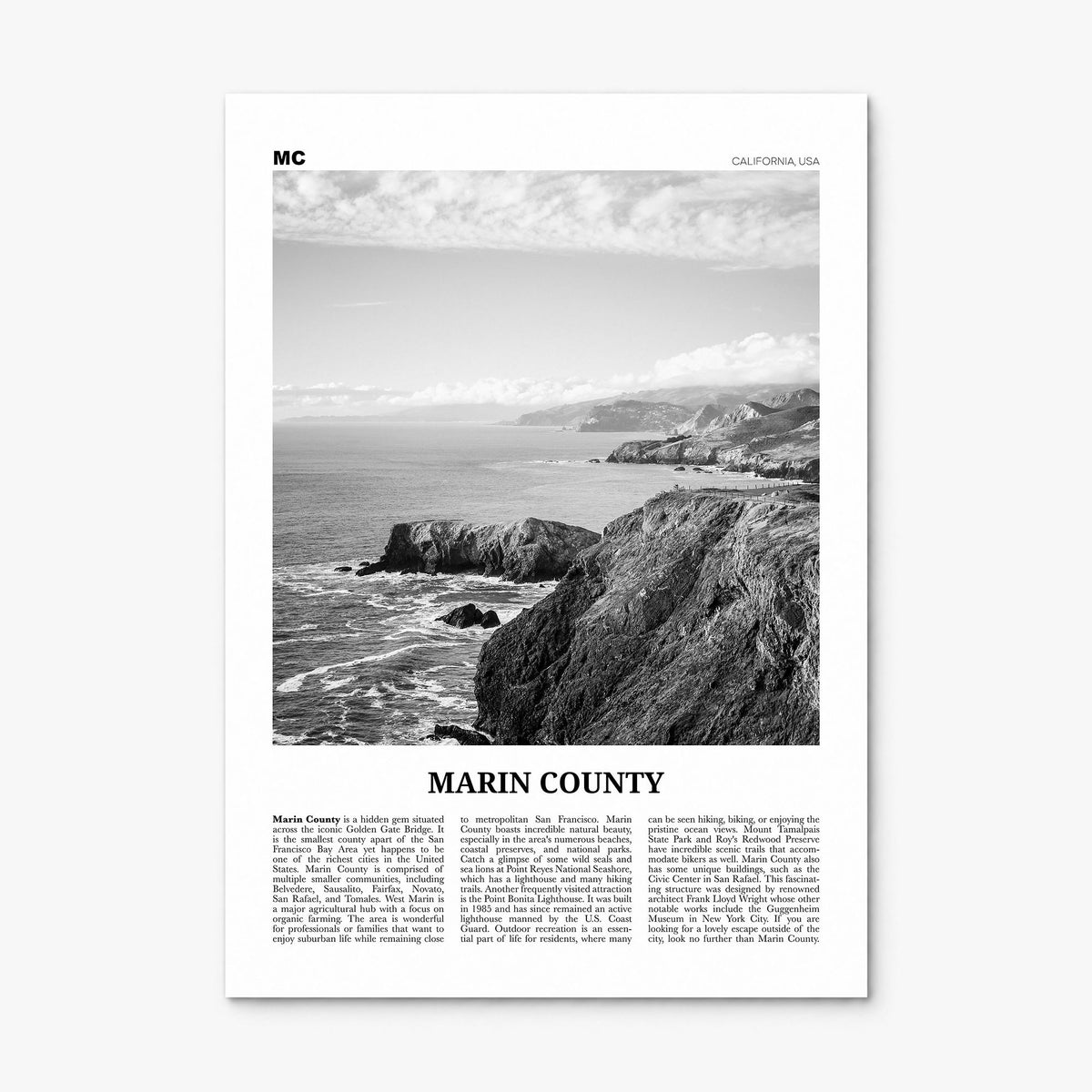 Marin County Newspaper Poster, print only (unframed)