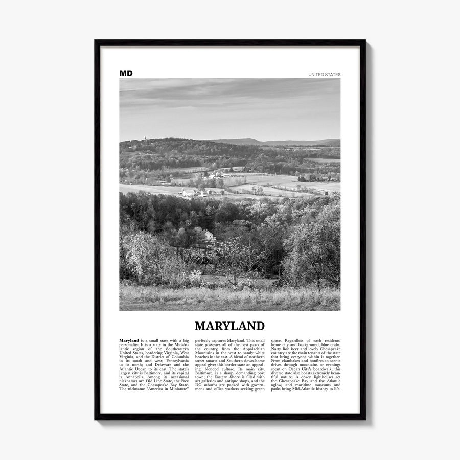 Maryland Newspaper No 2 Poster, framed poster mockup