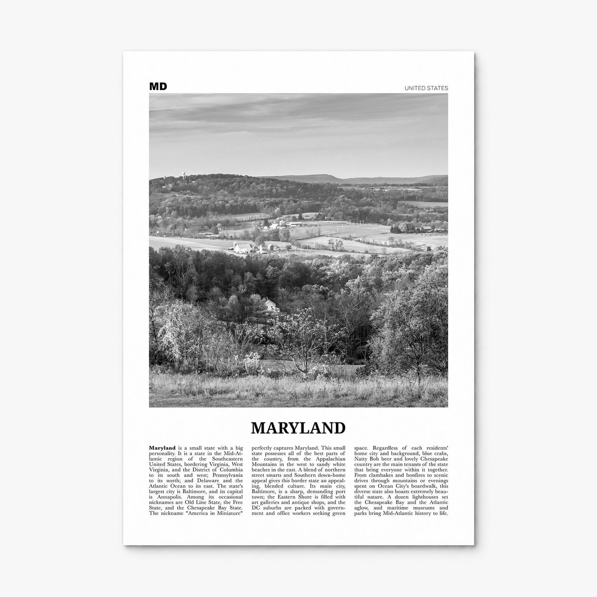 Maryland Newspaper No 2 Poster, print only (unframed)
