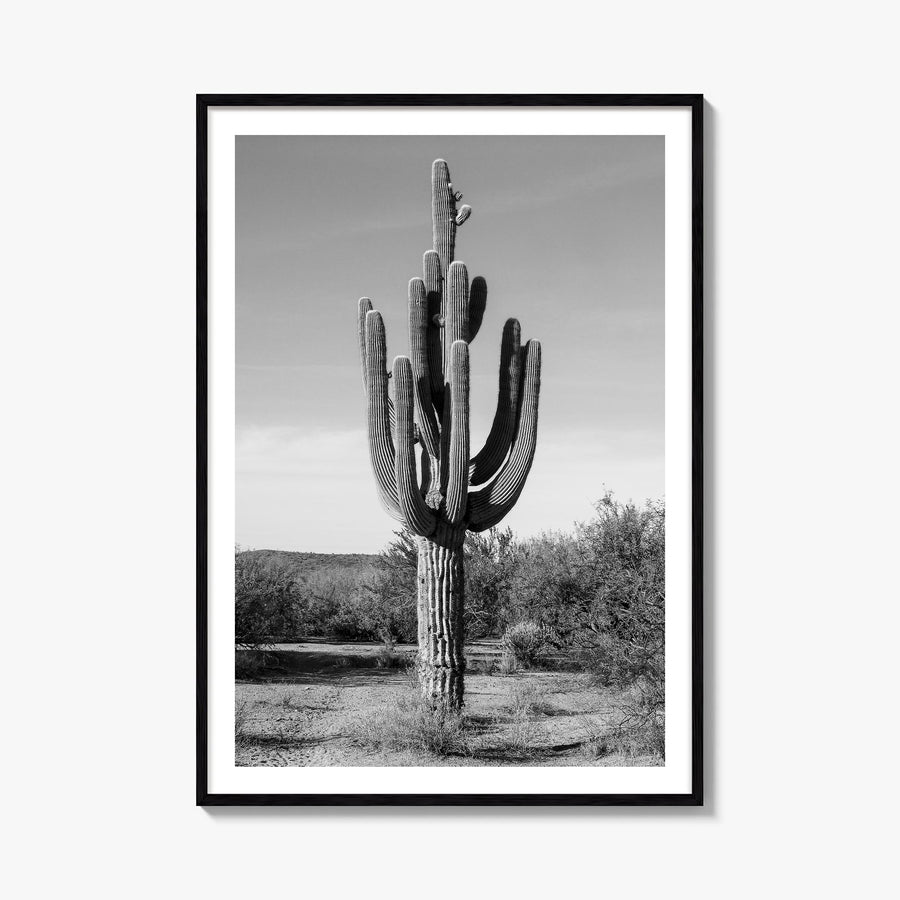 Mesa no. 1 black & white photo poster of Arizona, USA – vertical wall art, unframed print shown in interior mockup