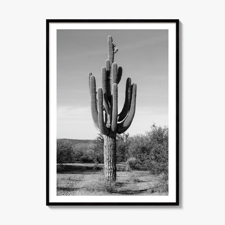 Mesa Photo No 2 Poster, framed poster mockup, white border