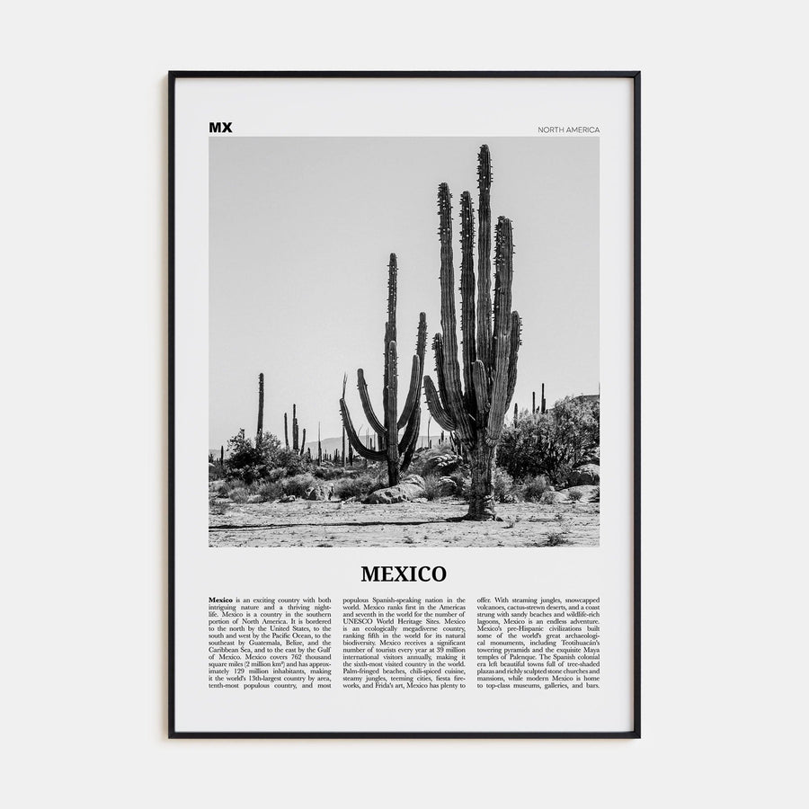 Mexico No 1 Poster None / 8x12 in Nbourhood Travel B&W Poster