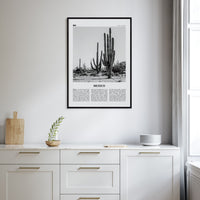 Mexico No 1 Poster Nbourhood Travel B&W Poster