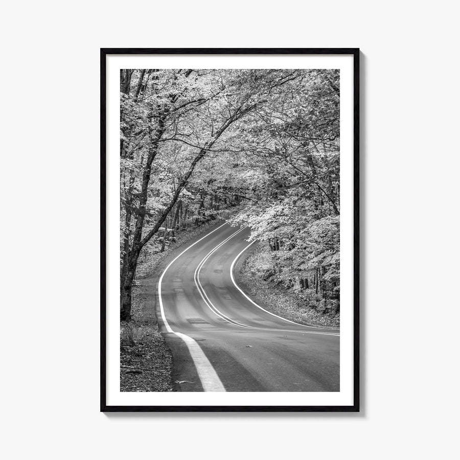 Michigan no. 2 black & white photo poster of United States – vertical wall art, unframed print shown in interior mockup