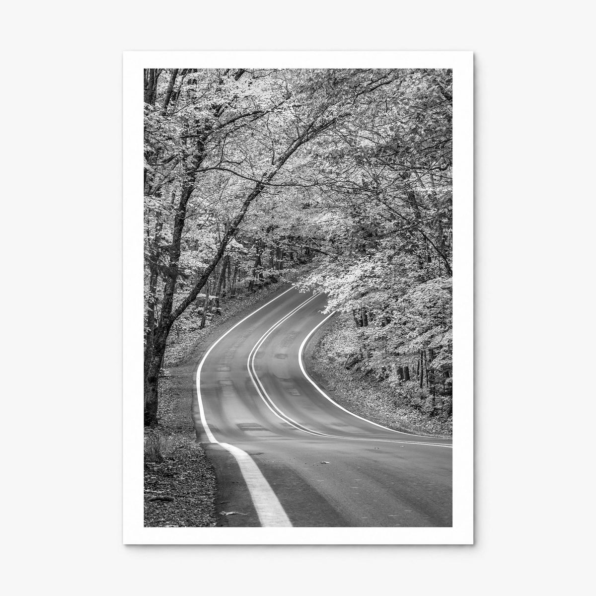 Michigan Photo No 2 Poster, print only (unframed), white border