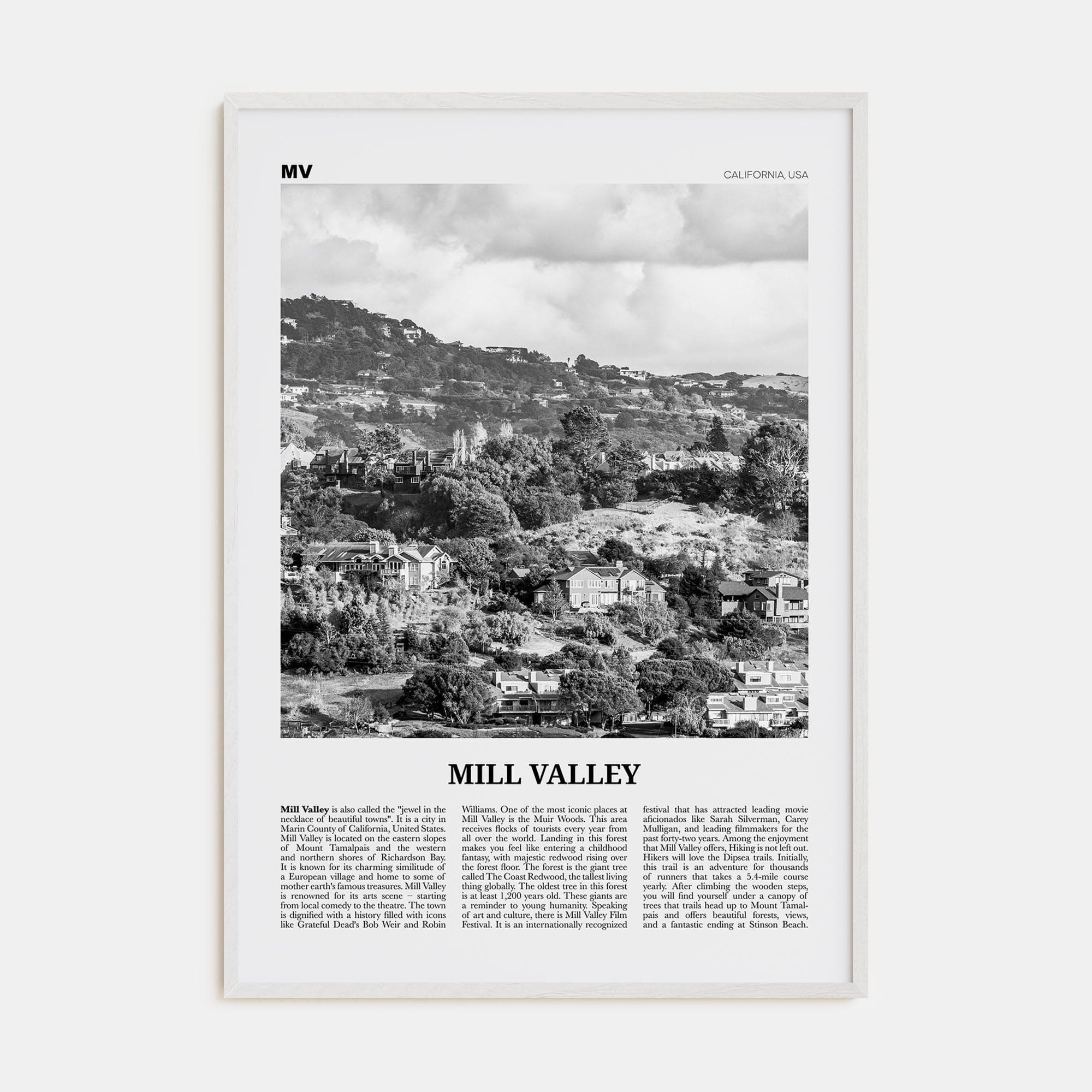 Mill Valley Poster White Wood / 8x12 in Nbourhood Travel B&W Poster